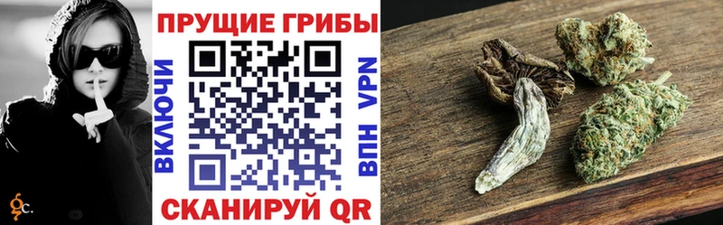 Галлюциногенные грибы мухоморы  hydra рабочий сайт  Рославль 